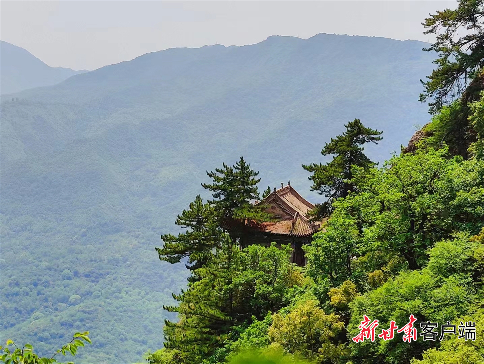 FZ100430836759_A4400546