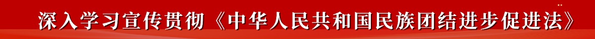深入学习宣传贯彻《中华人民共和国民族团结进步促进法》
